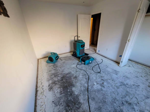 Best Basement water damage restoration  in Saddle River, NJ