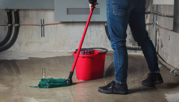 Best Flooded house restoration  in Saddle River, NJ