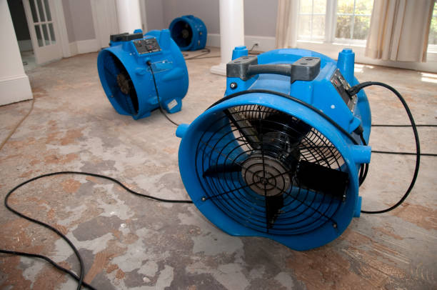 Best Carpet water damage restoration  in Saddle River, NJ