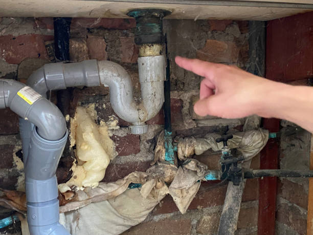Best Local water damage restoration  in Saddle River, NJ